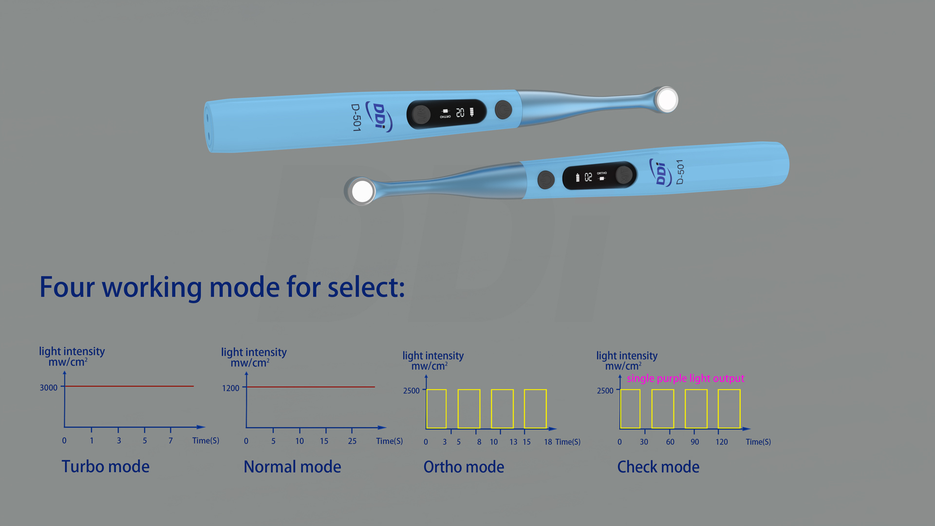 1734768744369134.jpg 5.jpg