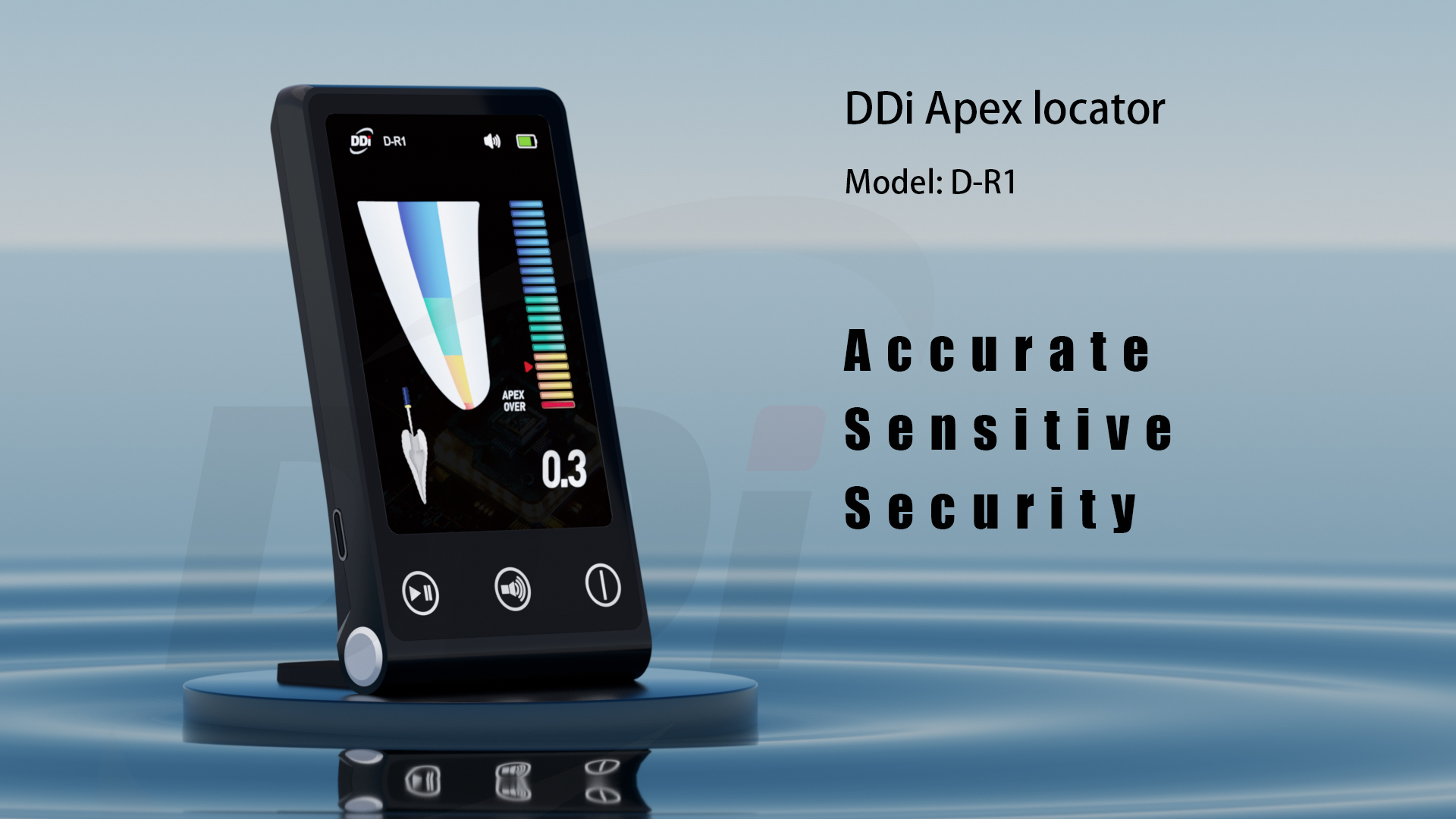 1735114091129497.jpg 1.jpg