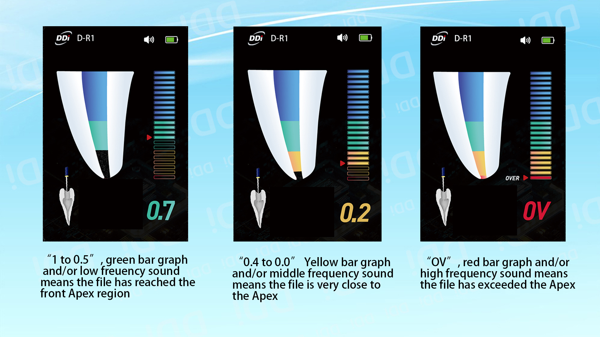 1735114108159481.jpg 4.jpg