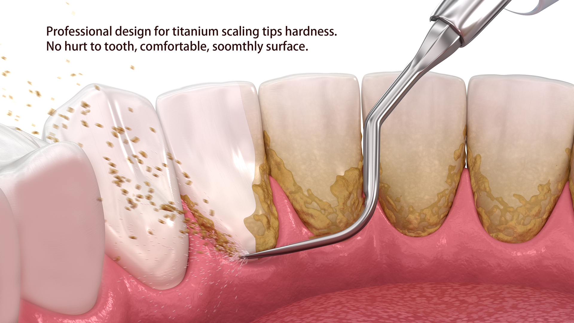 1735186324963226.jpg 3.jpg