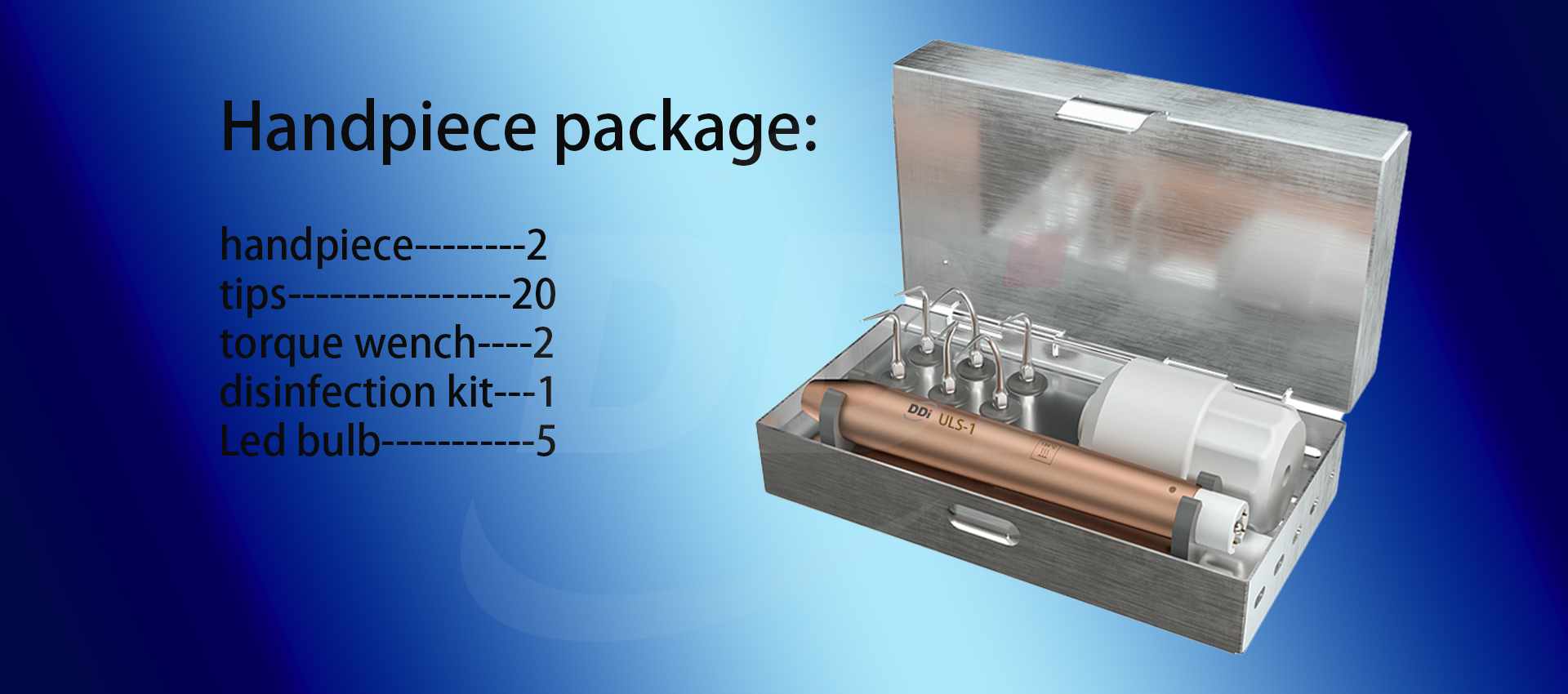 1735186335569255.jpg 5.jpg